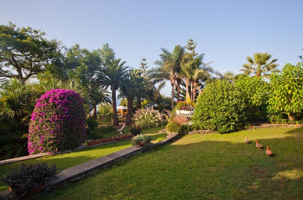 Hotel Finca Casa Vieja Santa Úrsula Exterior foto